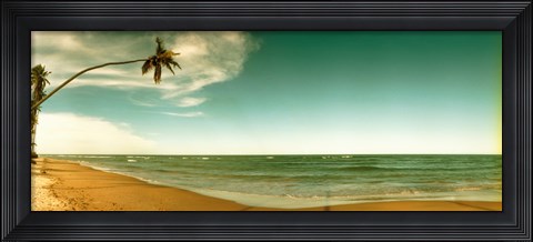 Framed Single leaning palm tree on the beach, Morro De Sao Paulo, Tinhare, Cairu, Bahia, Brazil Print