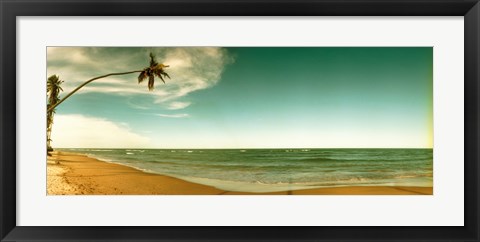 Framed Single leaning palm tree on the beach, Morro De Sao Paulo, Tinhare, Cairu, Bahia, Brazil Print