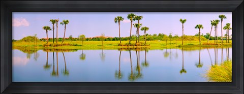 Framed Reflection of trees on water, Lake Worth, Palm Beach County, Florida, USA Print