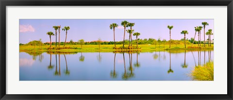 Framed Reflection of trees on water, Lake Worth, Palm Beach County, Florida, USA Print