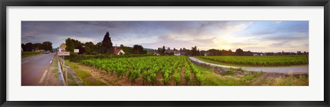 Framed Vineyard, Mercurey, France Print