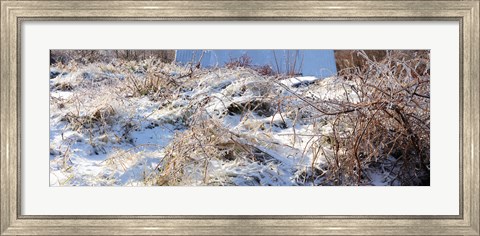 Framed Snow covered hill, Saint-Blaise-sur-Richelieu, Quebec, Canada Print