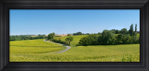 Framed Dirt road passing through a flax field, Loire-et-Cher, Loire Valley, France Print