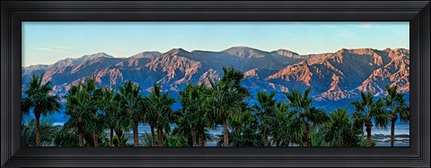 Framed Palm trees with mountain range in the background, Furnace Creek Inn, Death Valley, Death Valley National Park, California, USA Print