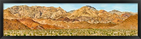 Framed Bushes in a desert with mountain range in the background, Death Valley, Death Valley National Park, California Print