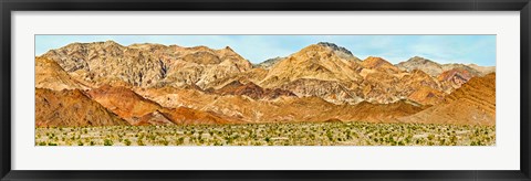 Framed Bushes in a desert with mountain range in the background, Death Valley, Death Valley National Park, California Print