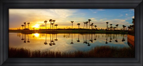 Framed Reflection of trees in water at sunset, Lake Worth, Palm Beach County, Florida, USA Print