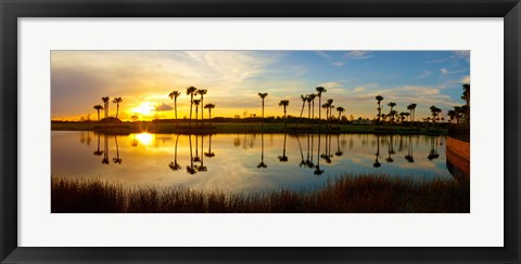 Framed Reflection of trees in water at sunset, Lake Worth, Palm Beach County, Florida, USA Print