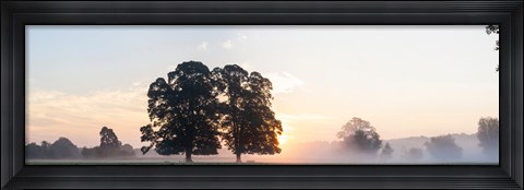 Framed Trees at sunrise, USK Valley, South Wales, Wales Print