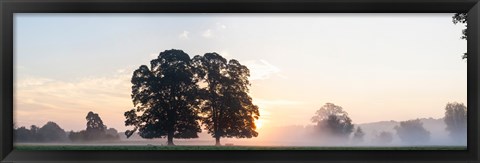 Framed Trees at sunrise, USK Valley, South Wales, Wales Print