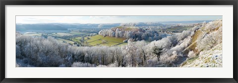 Framed Snow covered trees in a valley from Uley Bury, Downham Hill, Gloucestershire, England Print