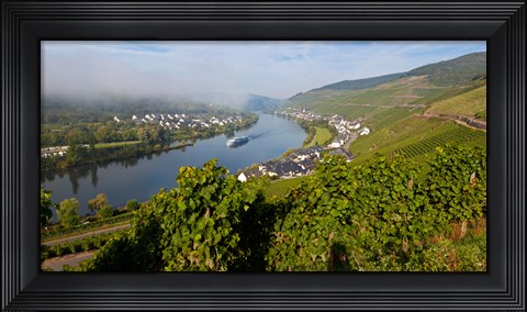 Framed Vineyards with village at riverfront, Mosel River, Kaimt Mosel Village, Mosel Valley, Rhineland-Palatinate, Germany Print