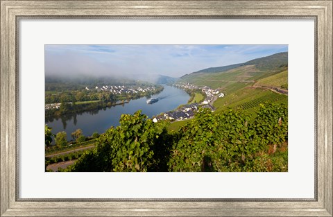 Framed Vineyards with village at riverfront, Mosel River, Kaimt Mosel Village, Mosel Valley, Rhineland-Palatinate, Germany Print