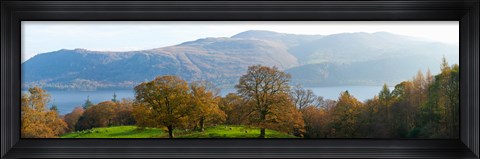 Framed Autumn trees with mountains in background, Derwent Water, Lake District National Park, Cumbria, England Print