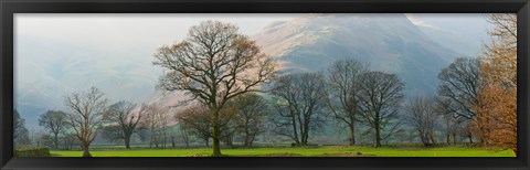 Framed Autumn trees with mountain in the background, Langdale, Lake District National Park, Cumbria, England Print