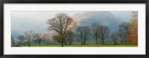 Framed Autumn trees with mountain in the background, Langdale, Lake District National Park, Cumbria, England Print