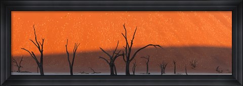 Framed Dead trees in dry clay pan, Dead Vlei, Sossusvlei, Namib-Naukluft National Park, Namibia Print