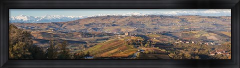 Framed High angle view of vineyards and castle, Grinzane Cavour, Langhe, Cuneo Province, Piedmont, Italy Print