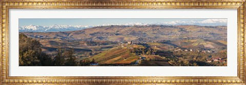 Framed High angle view of vineyards and castle, Grinzane Cavour, Langhe, Cuneo Province, Piedmont, Italy Print