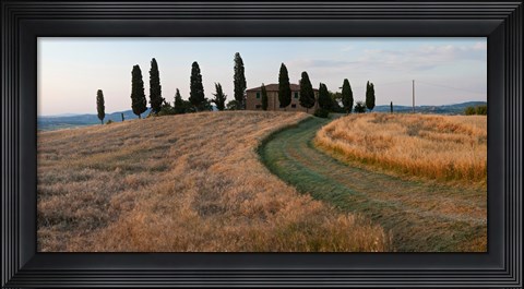 Framed Road leading towards a farmhouse, Val d'Orcia, Tuscany, Italy Print