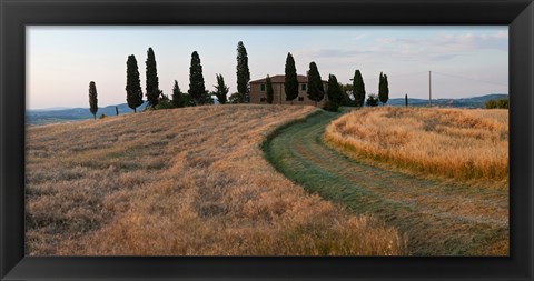 Framed Road leading towards a farmhouse, Val d&#39;Orcia, Tuscany, Italy Print