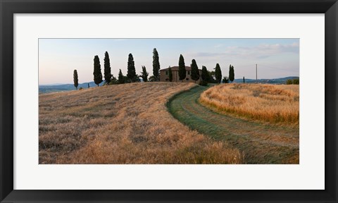 Framed Road leading towards a farmhouse, Val d&#39;Orcia, Tuscany, Italy Print