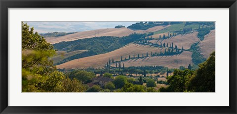 Framed High angle view of winding road in valley, Tuscany, Italy Print