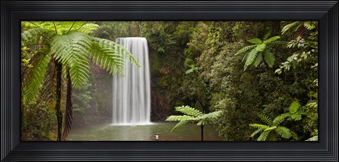Framed Waterfall in a forest, Millaa Millaa Falls, Atherton Tableland, Queensland, Australia Print