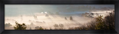 Framed Misty morning valley, Uley, Gloucestershire, England Print