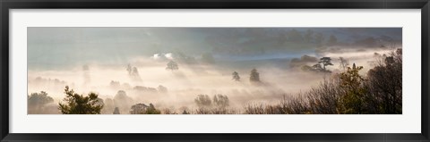 Framed Misty morning valley, Uley, Gloucestershire, England Print