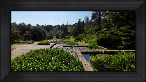 Framed Trees and aquatic plants in the garden, Mossen Cinto Verdaguer Gardens, Barcelona, Catalonia, Spain Print