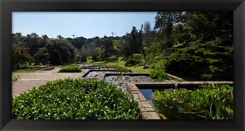 Framed Trees and aquatic plants in the garden, Mossen Cinto Verdaguer Gardens, Barcelona, Catalonia, Spain Print