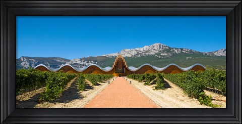 Framed Bodegas Ysios winery building and vineyard, La Rioja, Spain Print