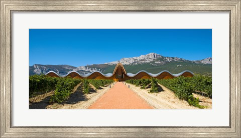 Framed Bodegas Ysios winery building and vineyard, La Rioja, Spain Print