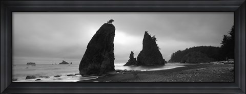 Framed Silhouette of seastacks at sunset, Olympic National Park, Washington State (black and white) Print