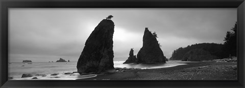 Framed Silhouette of seastacks at sunset, Olympic National Park, Washington State (black and white) Print