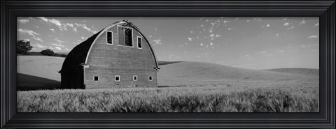 Framed Black and White view of Old barn in a wheat field, Washington State Print