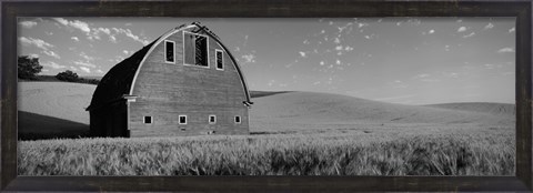 Framed Black and White view of Old barn in a wheat field, Washington State Print