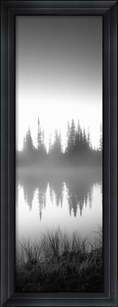 Framed Reflection of trees in a lake in black and white, Mt Rainier National Park, Washington State Print