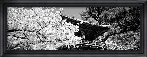 Framed Golden Gate Park, Japanese Tea Garden (black &amp; white) Print