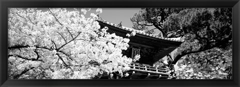 Framed Golden Gate Park, Japanese Tea Garden (black &amp; white) Print