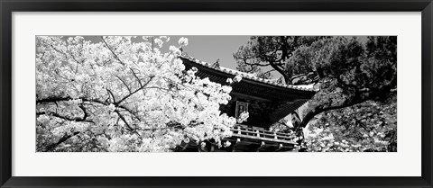 Framed Golden Gate Park, Japanese Tea Garden (black &amp; white) Print
