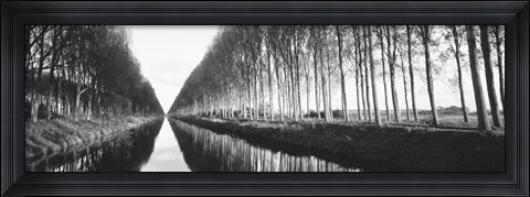 Framed Belgium, tree lined waterway through countryside (black and white) Print
