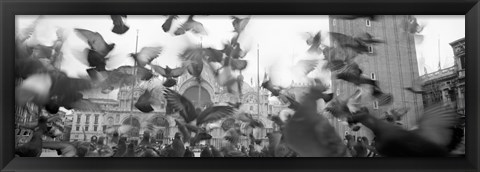 Framed Low angle view of a flock of pigeons, St. Mark&#39;s Square, Venice, Italy Print