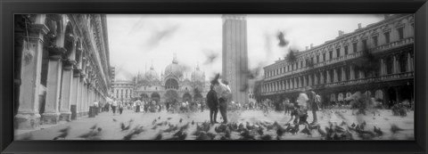 Framed Flock of pigeons flying, St. Mark&#39;s Square, Venice, Italy (black and white) Print