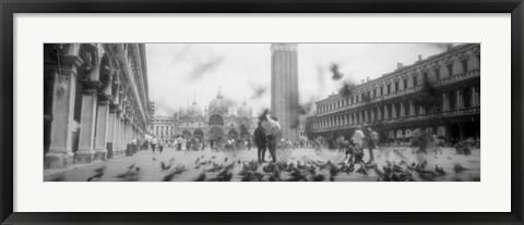 Framed Flock of pigeons flying, St. Mark&#39;s Square, Venice, Italy (black and white) Print