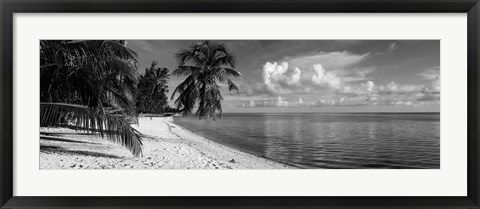 Framed Palm trees on the beach, Matira Beach, Bora Bora, French Polynesia Print