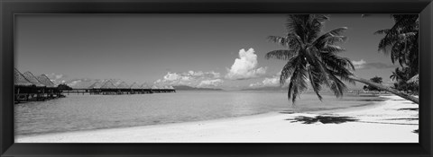 Framed Moana Beach (black and white), Bora Bora, Tahiti, French Polynesia Print