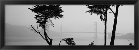 Framed Golden Gate Bridge Through the Fog (black &amp; white) Print