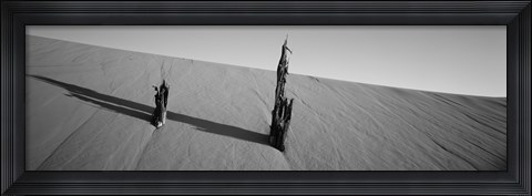 Framed Dead Pines at Coral Pink Sand Dunes State Park, Utah (black &amp; white) Print